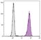 CD16 antibody, NBP1-28444, Novus Biologicals, Flow Cytometry image 