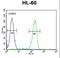 Olfactory Receptor Family 2 Subfamily F Member 2 antibody, LS-C163164, Lifespan Biosciences, Flow Cytometry image 