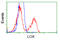 Protein-lysine 6-oxidase antibody, LS-C114935, Lifespan Biosciences, Flow Cytometry image 