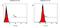 High Mobility Group Box 1 antibody, PA1-16926, Invitrogen Antibodies, Flow Cytometry image 