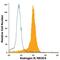Androgen Receptor antibody, IC5876A, R&D Systems, Flow Cytometry image 