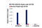 Transcription Factor EB antibody, 37785S, Cell Signaling Technology, Chromatin Immunoprecipitation image 