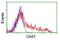 Calpastatin antibody, NBP2-01819, Novus Biologicals, Flow Cytometry image 