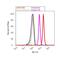 Eukaryotic Translation Initiation Factor 4E Binding Protein 1 antibody, AHO1382, Invitrogen Antibodies, Flow Cytometry image 