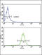 ATP Binding Cassette Subfamily G Member 1 antibody, 62-305, ProSci, Flow Cytometry image 