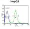 Von Hippel-Lindau Tumor Suppressor antibody, abx032865, Abbexa, Western Blot image 