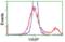 G Protein-Coupled Receptor 65 antibody, orb101581, Biorbyt, Flow Cytometry image 