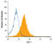 Endothelin Converting Enzyme 1 antibody, MAB17841, R&D Systems, Flow Cytometry image 