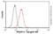 Ras association domain-containing protein 1 antibody, ab23950, Abcam, Flow Cytometry image 