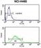 Potassium Voltage-Gated Channel Subfamily J Member 2 antibody, GTX81647, GeneTex, Flow Cytometry image 