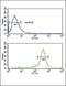 Hyaluronan Binding Protein 2 antibody, orb247677, Biorbyt, Flow Cytometry image 