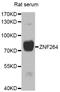 Zinc Finger Protein 264 antibody, STJ29495, St John