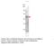 Mitogen-Activated Protein Kinase Kinase Kinase 8 antibody, MBS540421, MyBioSource, Western Blot image 