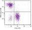 CD74 antibody, NBP1-28160, Novus Biologicals, Flow Cytometry image 