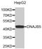 DnaJ Heat Shock Protein Family (Hsp40) Member B5 antibody, MBS126722, MyBioSource, Western Blot image 