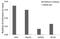 ADAM Metallopeptidase Domain 17 antibody, orb137133, Biorbyt, Immunoprecipitation image 