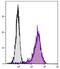 CD69 Molecule antibody, 98-828, ProSci, Immunohistochemistry frozen image 