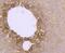 Superoxide Dismutase 2 antibody, NBP2-67879, Novus Biologicals, Immunohistochemistry paraffin image 
