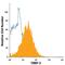 TIMP Metallopeptidase Inhibitor 3 antibody, IC9731A, R&D Systems, Flow Cytometry image 