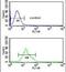 Trichoplein Keratin Filament Binding antibody, PA5-26363, Invitrogen Antibodies, Flow Cytometry image 