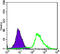 Erk1 antibody, abx011157, Abbexa, Enzyme Linked Immunosorbent Assay image 