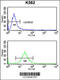 Solute Carrier Family 3 Member 1 antibody, 63-649, ProSci, Flow Cytometry image 