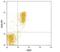 C-X-C Motif Chemokine Receptor 5 antibody, PA5-47822, Invitrogen Antibodies, Flow Cytometry image 