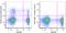 CD160 Molecule antibody, 341214, BioLegend, Flow Cytometry image 