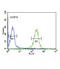 Folate Receptor Beta antibody, abx032385, Abbexa, Flow Cytometry image 