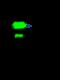 Podoplanin antibody, GTX02422, GeneTex, Immunoprecipitation image 