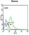 Rho GTPase Activating Protein 30 antibody, abx032370, Abbexa, Western Blot image 