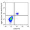 Sialic Acid Binding Ig Like Lectin 8 antibody, 347108, BioLegend, Flow Cytometry image 