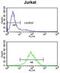 Protein Phosphatase, Mg2+/Mn2+ Dependent 1H antibody, abx034222, Abbexa, Western Blot image 