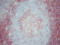 CD4 antibody, AM26053PU-N, Origene, Immunohistochemistry frozen image 