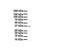 Potassium Voltage-Gated Channel Subfamily A Regulatory Beta Subunit 2 antibody, GTX47628, GeneTex, Western Blot image 