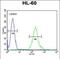 SOS Ras/Rho Guanine Nucleotide Exchange Factor 2 antibody, PA5-35070, Invitrogen Antibodies, Flow Cytometry image 