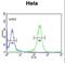 FYN Proto-Oncogene, Src Family Tyrosine Kinase antibody, LS-C166293, Lifespan Biosciences, Flow Cytometry image 