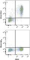 C-C Motif Chemokine Ligand 3 antibody, IC2701A, R&D Systems, Flow Cytometry image 