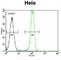 Beta-2-Microglobulin antibody, abx031698, Abbexa, Western Blot image 