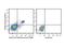 NK1.1 antibody, LS-C772565, Lifespan Biosciences, Flow Cytometry image 
