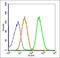 Dynamin 3 antibody, orb156664, Biorbyt, Flow Cytometry image 