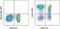 Selectin L antibody, 17-0629-41, Invitrogen Antibodies, Flow Cytometry image 