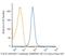 ADAM Metallopeptidase Domain 17 antibody, NBP2-12018, Novus Biologicals, Flow Cytometry image 