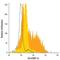 C-C Motif Chemokine Ligand 4 antibody, MA5-23620, Invitrogen Antibodies, Flow Cytometry image 