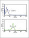 Methionine Sulfoxide Reductase A antibody, LS-C100908, Lifespan Biosciences, Flow Cytometry image 