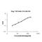 Transforming Growth Factor Beta 2 antibody, EK0981-CN, Boster Biological Technology, Enzyme Linked Immunosorbent Assay image 