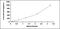 Interleukin 12A antibody, MBS2021392, MyBioSource, Enzyme Linked Immunosorbent Assay image 