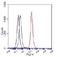 RPTOR Independent Companion Of MTOR Complex 2 antibody, NB100-612, Novus Biologicals, Flow Cytometry image 