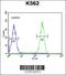 F-Box And WD Repeat Domain Containing 12 antibody, 55-114, ProSci, Flow Cytometry image 