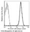 CD46 Molecule antibody, 12239-MM05-P, Sino Biological, Flow Cytometry image 